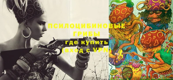 бошки Бугульма
