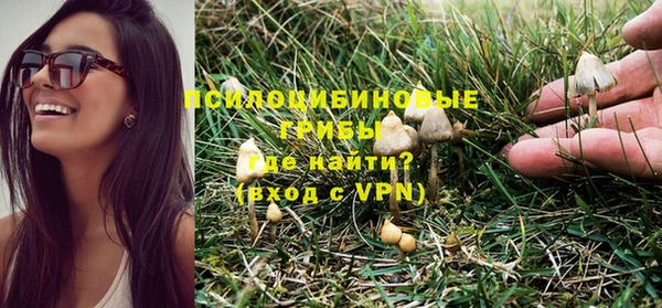 бошки Бугульма