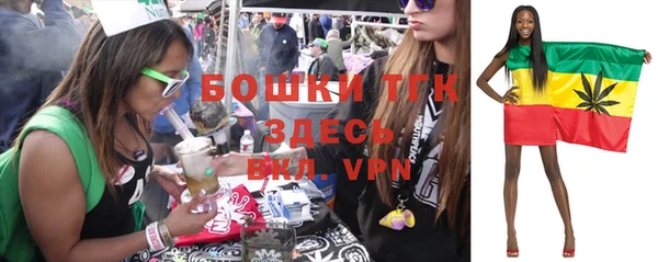 соль ск Бронницы