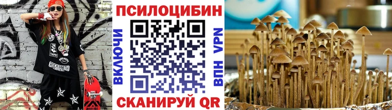 Псилоцибиновые грибы ЛСД mega как зайти Знаменск